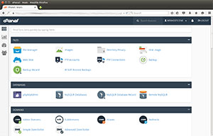 کنترل پنل cPanel